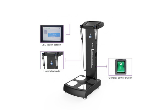 WiFi Body Composition Analyzer GS6.5C+ |  Multi-Frequency Bio-Impedance Analysis BMI, Fat Analysis Equipment