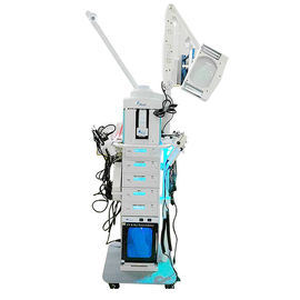 Popular  Professional Skin Care Multifunction Facial Cleaning Beauty Machine 19 in 1
