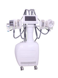 Nonsurgical Fat Reduction Cryolipolysis Fat Freeze Velashape RF Roller V10 Body Contouring Smooth