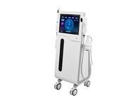 Vertical 4D HiFu Machine Facial Beauty SMAS Lift HIFU With 4 Handles For Face Body female intimate areal Tightening