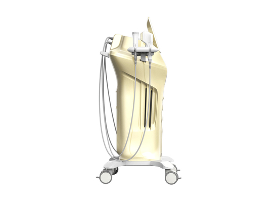 Non Surgical Face Lift Machine HIFU Skin Tighten Beauty Equipment New Doublo HIFU MFU+RF 2 In 1